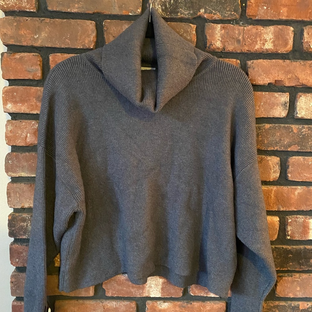 Zara Knit Turtleneck Sweater